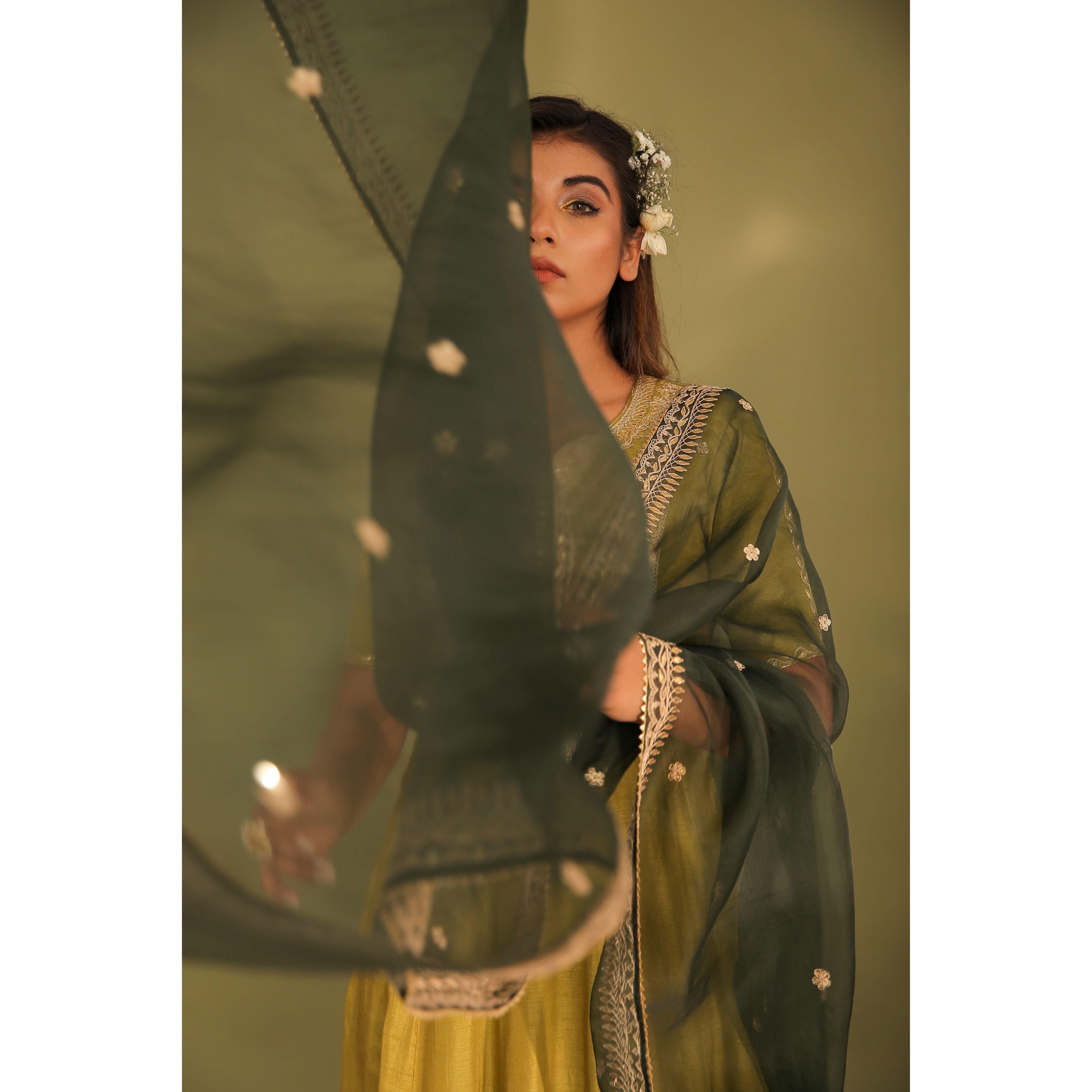 Anarkali With Organza Dupatta