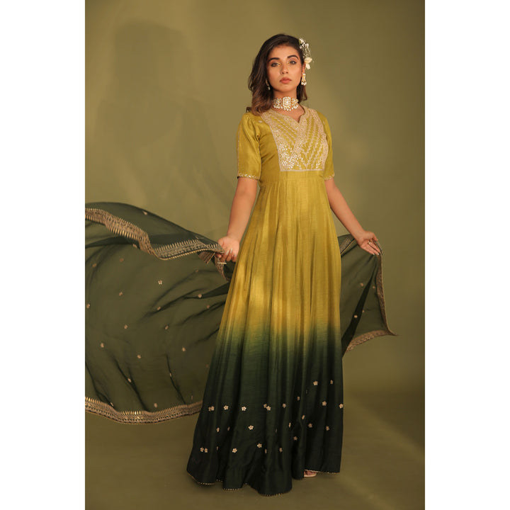 Anarkali With Organza Dupatta